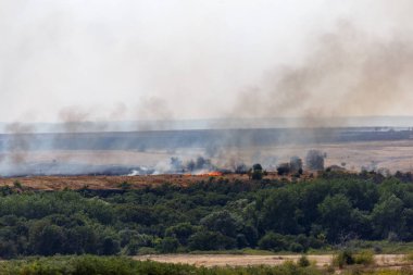 Ağaçlar, çim, koyu duman ile alanlarda orman ateşi veya doğal yangın