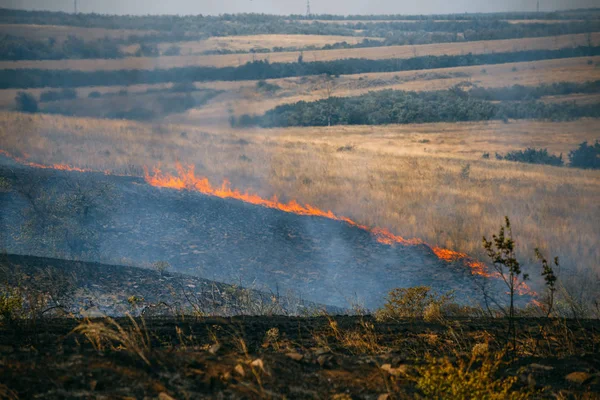 Сжигание сухой травы на поле, природный пожар, летний лесной пожар — стоковое фото