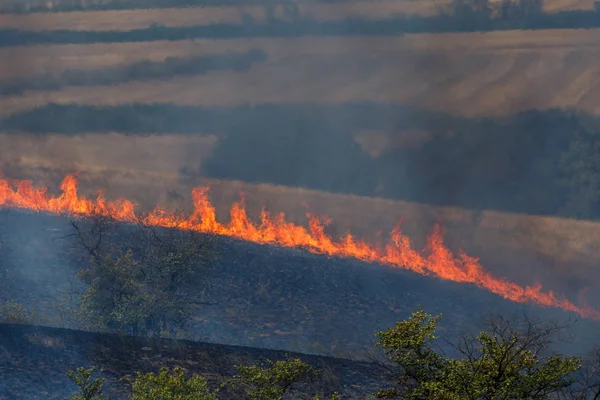 Природный пожар в Ростовской области — стоковое фото