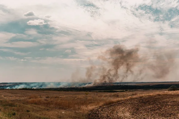 Дикий пожар на сухой траве, природный пожар на летнем поле — стоковое фото