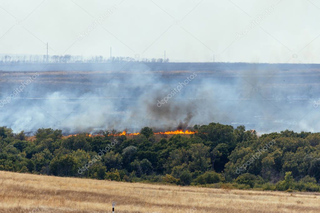 Natural disaster. Burning dry grass, wild fire or natural fire in August