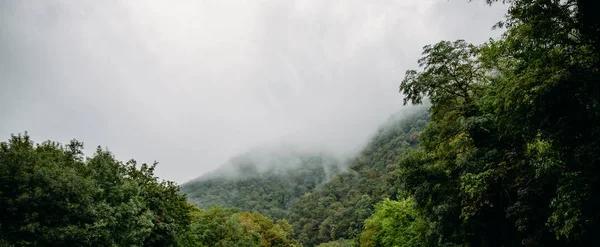 遇上大雾或低云山上山全景照片 — 图库照片
