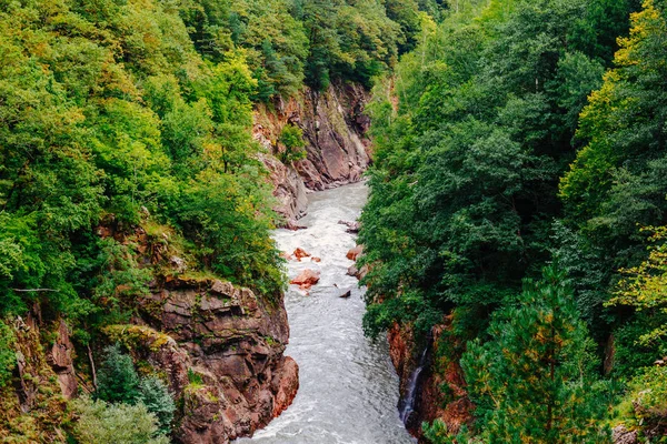 güzel doğal manzara ormanlık dağlar arasında bir nehir ile