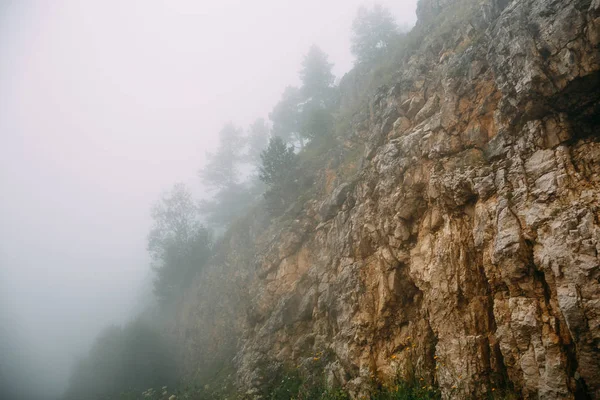 时髦景观，山区低躺在白云上或雾，雾、 霾、 黄色岩石与树在有雾的早晨 — 图库照片