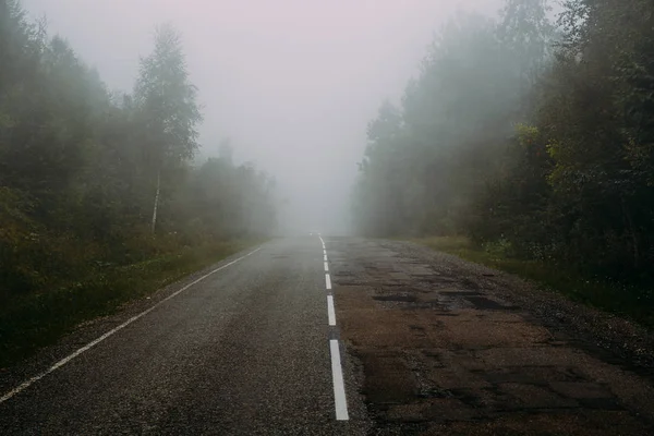 Route asphaltée dans les montagnes au milieu de la forêt verte dans la matinée fooggy — Photo