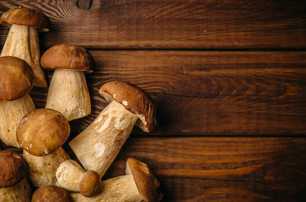 Jamur Porcini pada latar belakang kayu, ruang fotokopi — Stok Foto