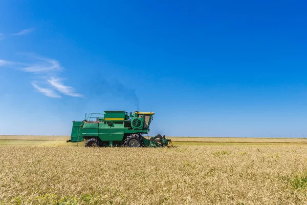 Gabungan mesin pertanian pemanen memanen ladang gandum matang kuning — Stok Foto