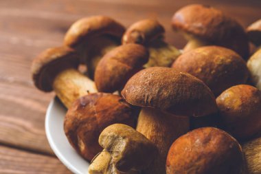 Bir tabak içinde taze mantar