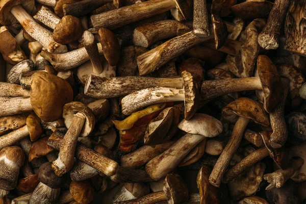 Taze mantar arka plan, desen