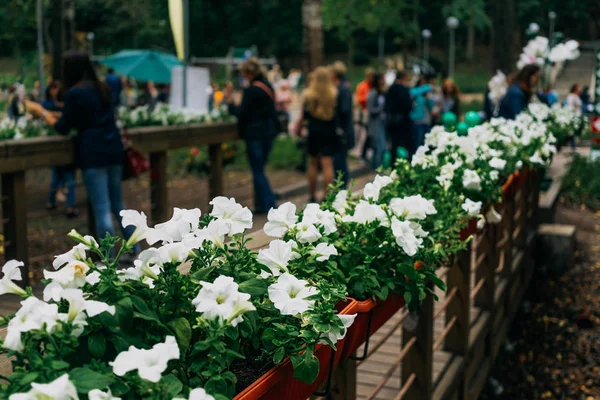 Çiçekli, insanlar üzerinde arka plan bulanık yürüyüş parkı Bridge'de