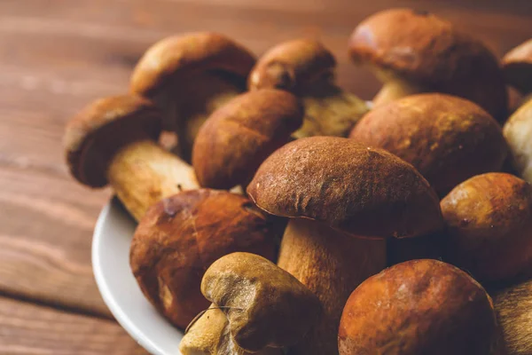 Bir tabak içinde taze mantar