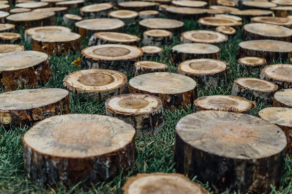 Een heleboel houten stompen in groen gras — Stockfoto