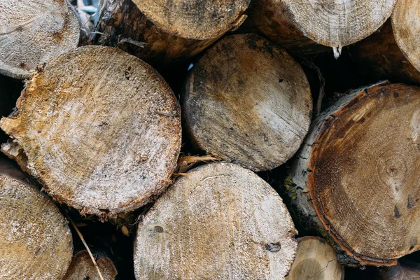 Gestapelde houten logboeken, boomstammen — Stockfoto