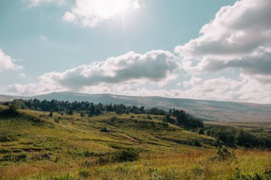 Dağ yaban hayatı manzara, tonda, yumuşak hipster renkleri yeşil dağların güneşli bahar günü içinde