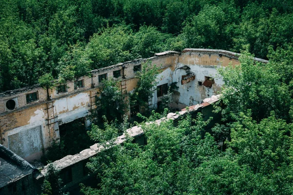 Luftaufnahme von grünem Wald und verlassener Fabrik ohne Dach, zerstörtes Gebäude nach dem Krieg — Stockfoto