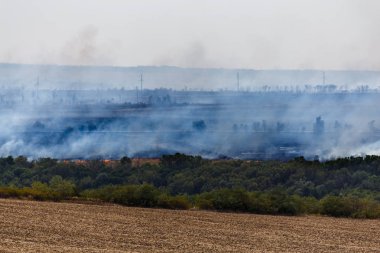 Rostov bölgesi, alev ve duman ot orman yangını. Büyük yangın ve duman alanlara