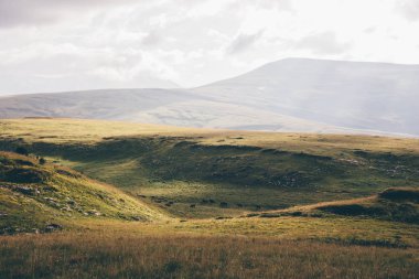 Yaz dağlar yeşil çim alanların peyzaj