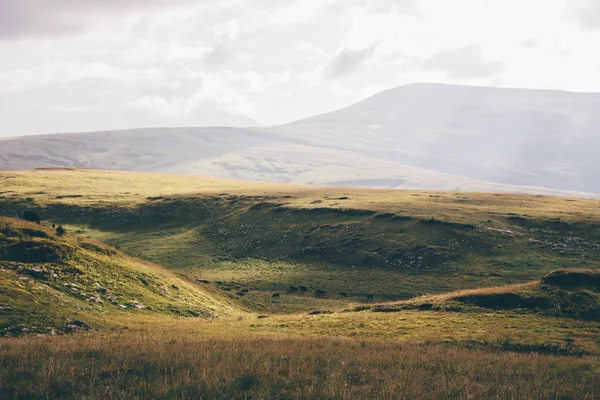 Yaz dağlar yeşil çim alanların peyzaj
