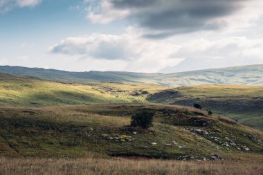 Dağ Yeşil Vadi manzarası
