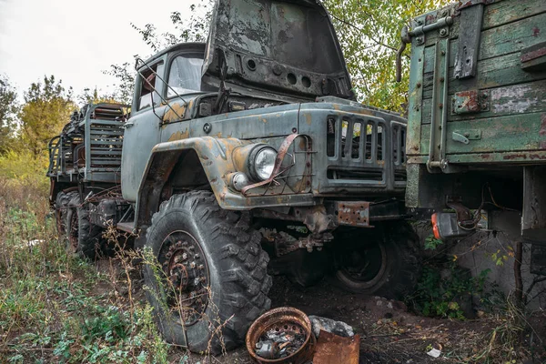 Viejo camión oxidado abandonado, gran coche entre verdes gras —  Fotos de Stock