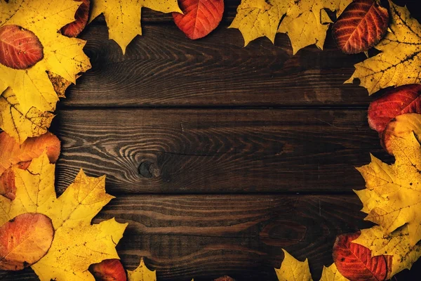 纹理复古仿古木制背景与红色和黄色的秋天叶子作为框架，为您的文本副本空间 — 图库照片