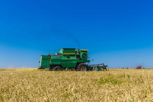 Harvester menggabungkan pekerjaan di ladang gandum atau pertanian gandum hitam — Stok Foto
