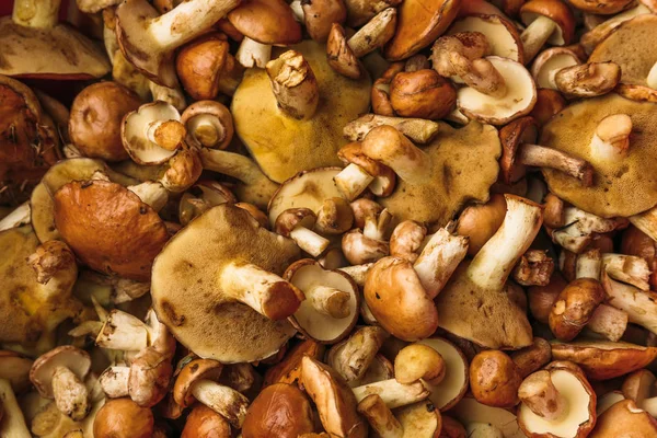 Latar belakang makanan sehat dari seluruh jamur segar — Stok Foto