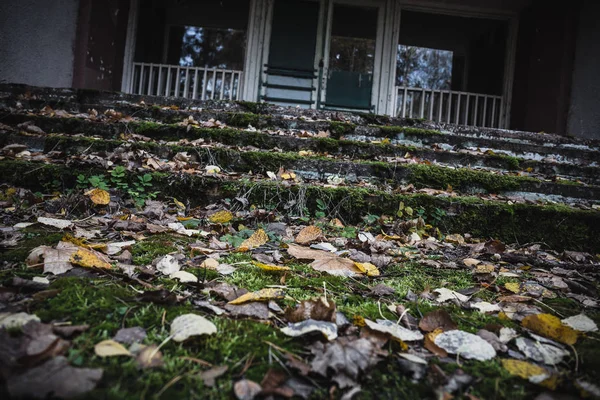 Folhas de outono em frente às escadas no antigo edifício abandonado, depressão de outono — Fotografia de Stock