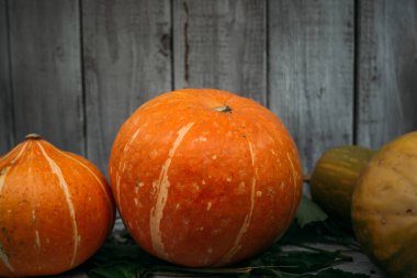 Sonbahar turuncu kabak koyu ahşap arka plan üzerinde