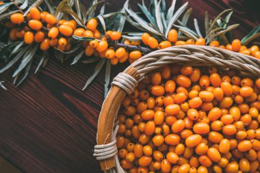Üstten Görünüm taze çiğ deniz topalak çilek bir ahşap sepet ve ahşap masa yapraklarda ile şube