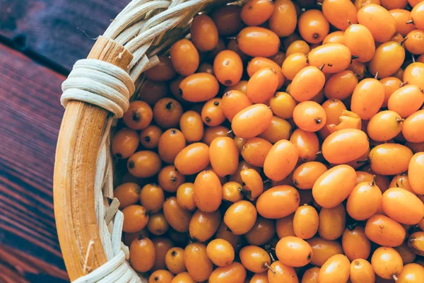 Berry organik segar matang dari Sea buckthorn pada kayu latar belakang, top view — Stok Foto