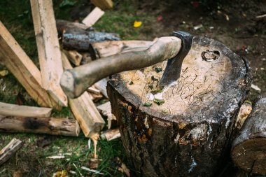 Baltayı kütüğe sapla.