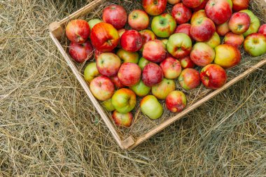 Ahşap kutusunda, üstten görünüm, saman yatan elma alanı Kopyala