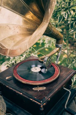 Pikap vinil plak çalar veya antika gramofon. Vinil disk için Retro ses ekipmanları
