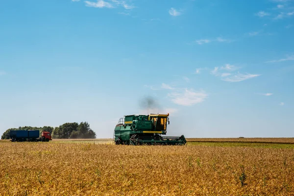 Mesin pengumpul atau kombinasi bekerja di ladang gandum — Stok Foto