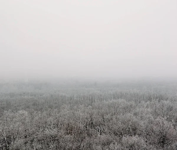 Forêt d'hiver dans le brouillard ou le myst, vue aérienne. Paysage nature blanc, gel et tranquillité — Photo
