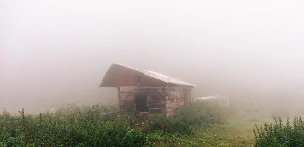 Panoramafoto von Holzhaus im Wald in dichtem Nebel, geheimnisvolle Atmosphäre — Stockfoto