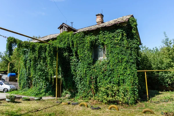 Samara, Rusya Federasyonu Ivy ile büyümüş, eski vintage ahşap evde yeşil bitki ile kaplı — Stok fotoğraf