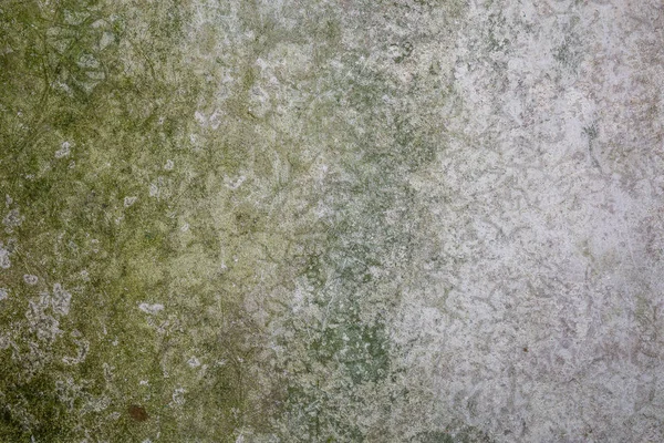Old cement wall with green mold and dirt, texture of aged concrete surface — Stock Photo, Image