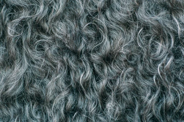 Gary fondo texture lana, cotone idrofilo, pile grigio, pelliccia scura soffice, capelli ricci, macro shot — Foto Stock