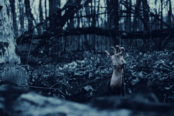 Zombie hand rising up from grave or from ground — Stock Photo, Image