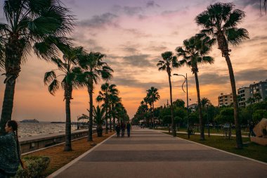 Kıbrıs Rum Kesimi 'nde Limasol gezinti güvertesi ya da toprak seti. Gün batımında patika ve palmiyelerle deniz kenarında yürüyüş. Popüler turizm merkezi