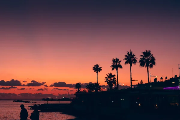 Silhuetas de palmas em fundo céu laranja e violeta por do sol no aterro de resort tropical, espaço de cópia para texto. Férias e conceito de viagem — Fotografia de Stock