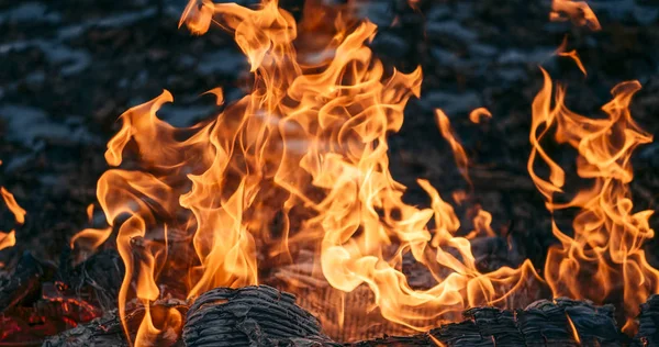 Burning fire with ash. Paper burns, close up