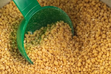Soya Lecithin Granülleri ve plastik kaşık, makro fotoğraf. Vitamin ve beslenme takviyeleri. Sağlıklı beslenme kavramı