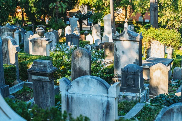 Grafstenen op het kerkhof tussen groene planten. Oude graven op het Italiaanse kerkhof — Stockfoto