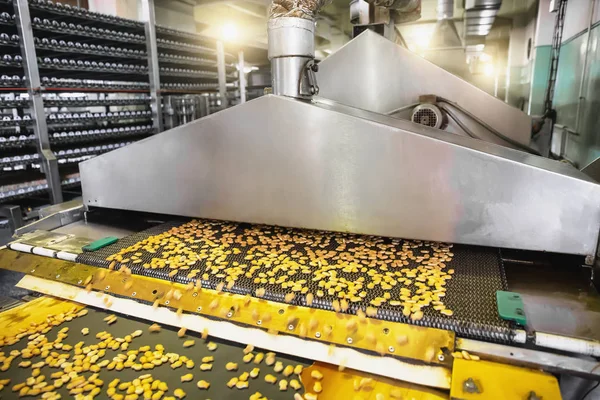 Industrielle Nahrungsmittelproduktion. Fabrik oder Bäckerei Förderband mit Kuchen. Automatisierungsfertigung — Stockfoto