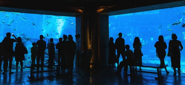 Silhouette di turisti di persone sullo sfondo di grande acquario a Dubai, Emirati Arabi Uniti — Foto Stock