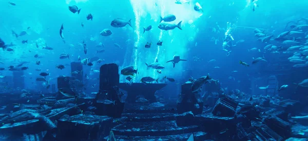 Gran panorama del acuario en el Hotel Atlantis en Palm Jumeirah en Dubai con muchos peces, Emiratos Árabes Unidos —  Fotos de Stock