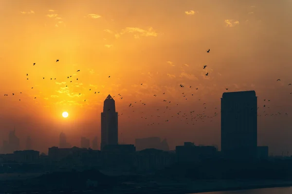 Дубайская панорама в закате вечером, силуэты городских зданий, ОАЭ — стоковое фото